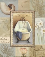 Tranquil Bath II Framed Print