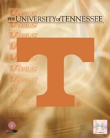 2008 University of Tennessee Logo Fine Art Print