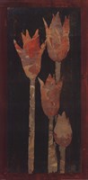 Tulip Panel Fine Art Print