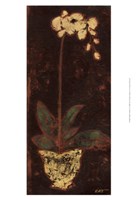 Gilded Orchid I Framed Print