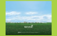 Weeds (TV) Town - 17" x 11"