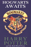 Harry Potter Book Covers Fine Art Print