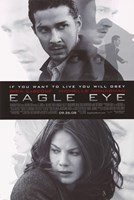 Eagle Eye Fine Art Print
