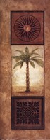 Sago Palm Framed Print