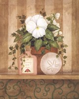 Pansy and Shell Fine Art Print