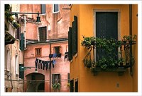 Inside Yard Fine Art Print