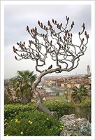 Bird on a Dante Tree. Fine Art Print