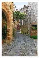 Path through Montefiorale Fine Art Print