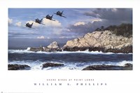 Shorebirds at Point Lobos Fine Art Print