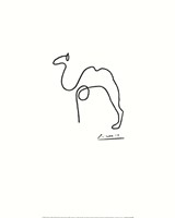 The Camel Fine Art Print