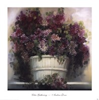 Lilac Gathering Fine Art Print