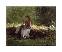 On The Fence Fine Art Print