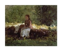 On The Fence Fine Art Print