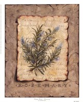 Vintage Herbs - Rosemary Fine Art Print