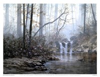 Transcending Forest Fine Art Print