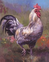 Purple Rooster Fine Art Print