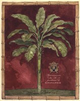 Caribbean Palm II With Bamboo Border Fine Art Print