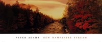 New Hampshire Stream by Peter Adams - 36" x 15"