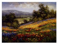 Campo Di Fiore I Fine Art Print