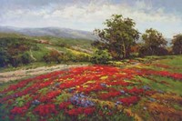 Campo Di Fiore II Fine Art Print