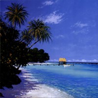 Tropical Paradise II by Steve Thoms - 12" x 12"