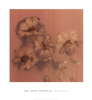 Ghost Flowers I by Amy Trebella - 20" x 22"