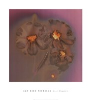Ghost Flowers II by Amy Trebella - 20" x 22"