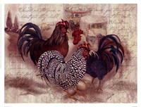 Rooster Trinity Fine Art Print
