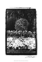 Garden Hideaway II Fine Art Print