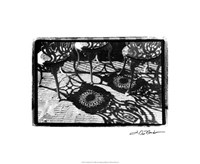Cafe Shadows II Fine Art Print