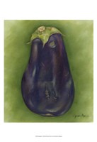 13" x 19" Eggplant Pictures