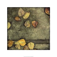 Wet Pavement II Framed Print