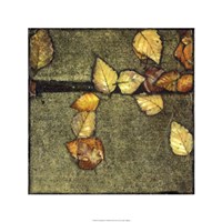 Wet Pavement III Framed Print