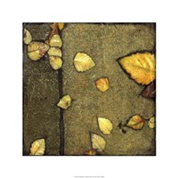 Wet Pavement IV Framed Print