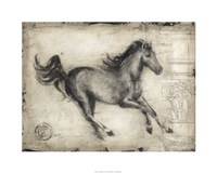 Roman Horse I Fine Art Print