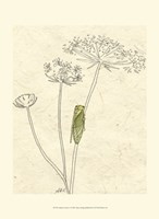 Summer Chorus I Fine Art Print