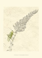 Summer Chorus III Fine Art Print