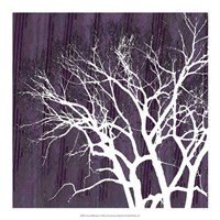 Aurora Silhouette I Fine Art Print