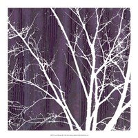 Aurora Silhouette III Fine Art Print