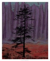 Aurora II Framed Print