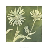 Verdigris Blossoms IV Fine Art Print