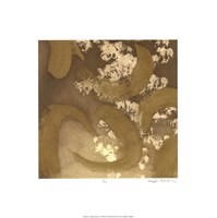 Golden Rule II Fine Art Print