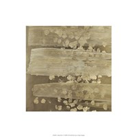 Golden Rule IV Fine Art Print