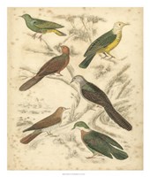 Avian Habitat II Fine Art Print