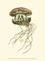 Creatures of the Sea I Fine Art Print