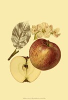 Ripe for Harvest I Fine Art Print