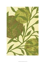 Florestial IV Fine Art Print