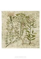 Garden Verses I Fine Art Print