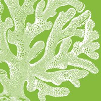 Saturated Coral II Framed Print