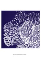 Saturated Coral III Framed Print